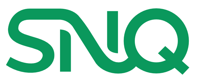 SYNARIQ Logo